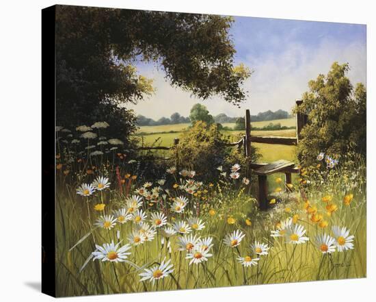 On the Footpath-Mary Dipnall-Stretched Canvas