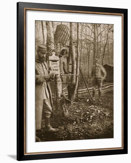 On the French Lorraine Front: a Poilu's Camp Letter-Box and Buzzard Mascots-English Photographer-Framed Giclee Print