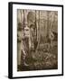 On the French Lorraine Front: a Poilu's Camp Letter-Box and Buzzard Mascots-English Photographer-Framed Giclee Print