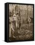 On the French Lorraine Front: a Poilu's Camp Letter-Box and Buzzard Mascots-English Photographer-Framed Stretched Canvas