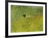 On the Grass; I Grongraset, 1902-Carl Larsson-Framed Giclee Print