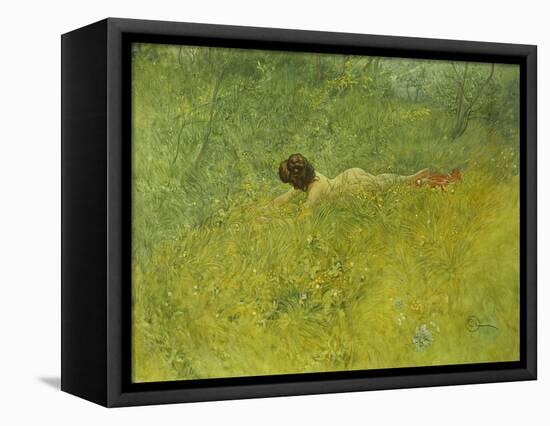 On the Grass; I Grongraset, 1902-Carl Larsson-Framed Stretched Canvas