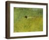 On the Grass; I Grongraset, 1902-Carl Larsson-Framed Giclee Print