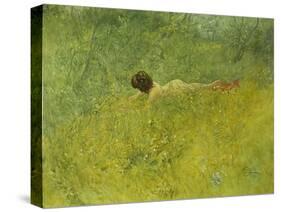 On the Grass; I Grongraset, 1902-Carl Larsson-Stretched Canvas