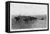 On the Great Abilene Cattle Trail from Texas-G.h. Del'orme-Framed Stretched Canvas