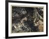 On the Ground Sleep Sound: I'Ll Apply to Your Eye, Gentle Lover, Remedy-Arthur Rackham-Framed Giclee Print