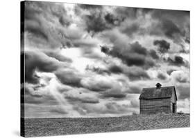 On the Hill-Trent Foltz-Stretched Canvas