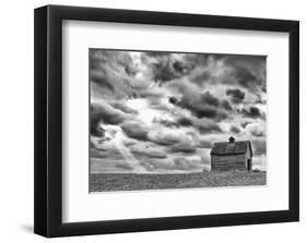 On the Hill-Trent Foltz-Framed Art Print