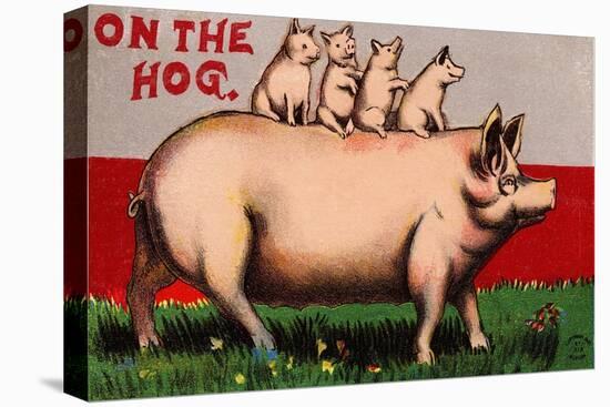 On the Hog Postcard-null-Stretched Canvas