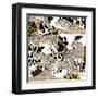 On the Hunt 3-Kimberly Allen-Framed Art Print