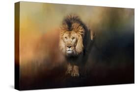 On the Hunt-Jai Johnson-Stretched Canvas