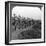 On the Long March Through Torrid Heat to Baghdad, World War I, C1914-C1917-null-Framed Photographic Print