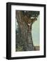 On the Lookout-Kalon Baughan-Framed Art Print