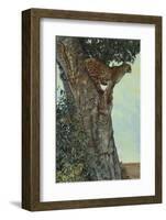 On the Lookout-Kalon Baughan-Framed Art Print