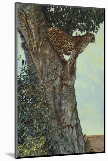 On the Lookout-Kalon Baughan-Mounted Art Print
