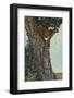 On the Lookout-Kalon Baughan-Framed Giclee Print