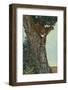 On the Lookout-Kalon Baughan-Framed Giclee Print