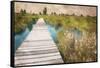 On The Marsh-Milli Villa-Framed Stretched Canvas