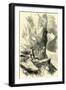 On the Matterhorn Switzerland-null-Framed Giclee Print