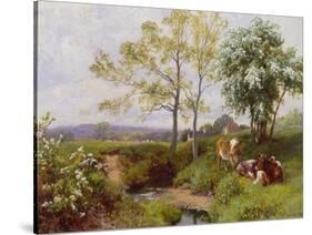 On the Minnow Stream, Dorking, Surrey-Charles Collins-Stretched Canvas