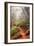 On the Misty Coast Trail at Muir Woods-Vincent James-Framed Photographic Print