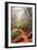 On the Misty Coast Trail at Muir Woods-Vincent James-Framed Photographic Print