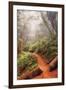 On the Misty Coast Trail at Muir Woods-Vincent James-Framed Photographic Print