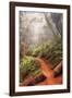 On the Misty Coast Trail at Muir Woods-Vincent James-Framed Photographic Print