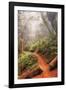 On the Misty Coast Trail at Muir Woods-Vincent James-Framed Photographic Print