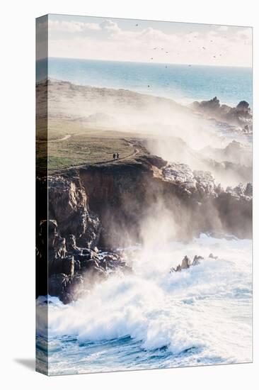 On the Misty Trail, Sonoma Coast, California State Parks-Vincent James-Stretched Canvas