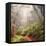 On The Misty Woods Trail-Vincent James-Framed Stretched Canvas