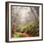 On The Misty Woods Trail-Vincent James-Framed Premium Photographic Print