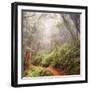 On The Misty Woods Trail-Vincent James-Framed Photographic Print