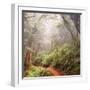 On The Misty Woods Trail-Vincent James-Framed Photographic Print