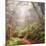 On The Misty Woods Trail-Vincent James-Mounted Photographic Print