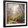 On The Misty Woods Trail-Vincent James-Framed Photographic Print