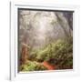 On The Misty Woods Trail-Vincent James-Framed Photographic Print