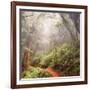 On The Misty Woods Trail-Vincent James-Framed Photographic Print