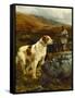 On the Moors-John Sargent Noble-Framed Stretched Canvas