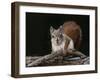 On The Move-Michael Budden-Framed Giclee Print