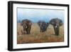 On the Move-Stephen Mitchell-Framed Art Print