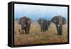 On the Move-Stephen Mitchell-Framed Stretched Canvas