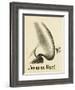 On the Nose! - a Mosquito Hits the Jackpot When Encountering a Fine Hooter-null-Framed Art Print