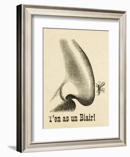 On the Nose! - a Mosquito Hits the Jackpot When Encountering a Fine Hooter-null-Framed Art Print