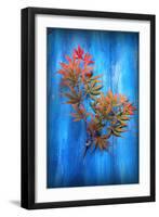 On the Old Blue Wood-Philippe Sainte-Laudy-Framed Photographic Print