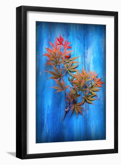 On the Old Blue Wood-Philippe Sainte-Laudy-Framed Photographic Print