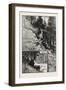 On the Path to Whirlpool, Canada, Nineteenth Century-null-Framed Giclee Print