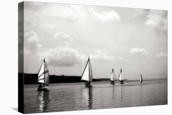 On the Potomac I-Alan Hausenflock-Stretched Canvas