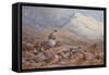 On the Ptarmigan Ground watercolor-Archibald Thorburn-Framed Stretched Canvas