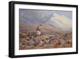 On the Ptarmigan Ground watercolor-Archibald Thorburn-Framed Giclee Print